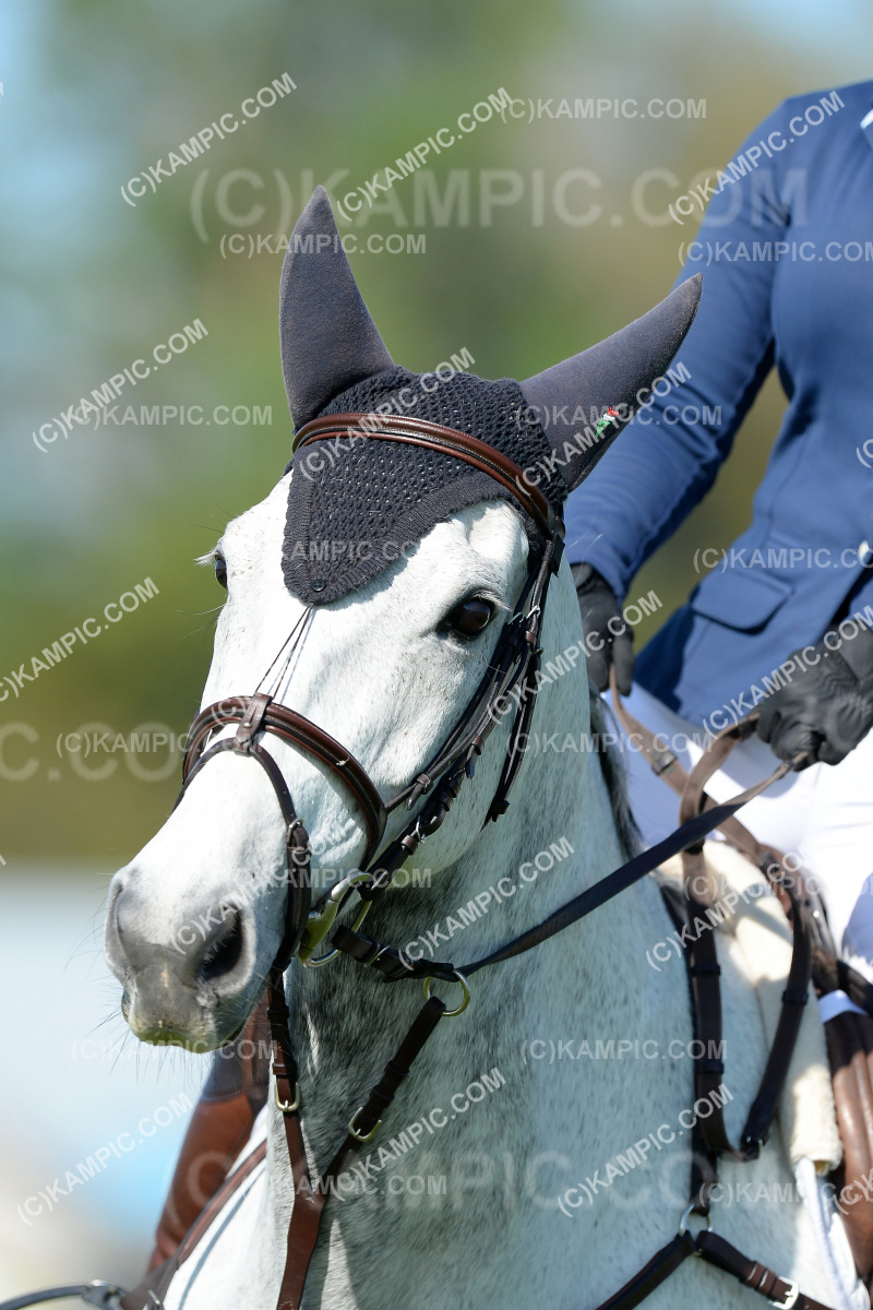 SL_201023_0531