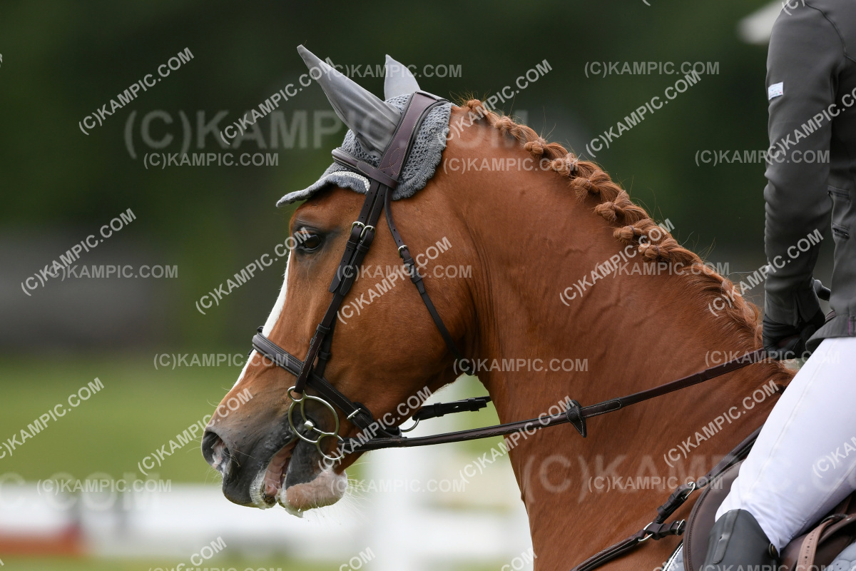 KM_201213_2028