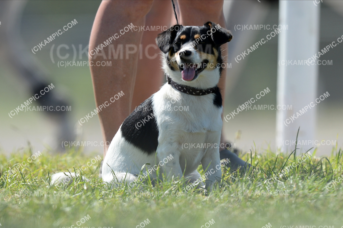 SL_201218_3369