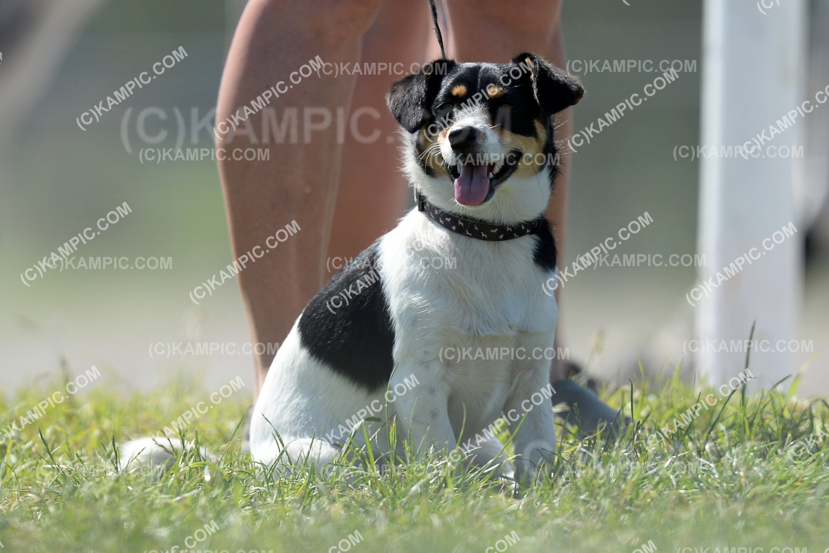 SL_201218_3370