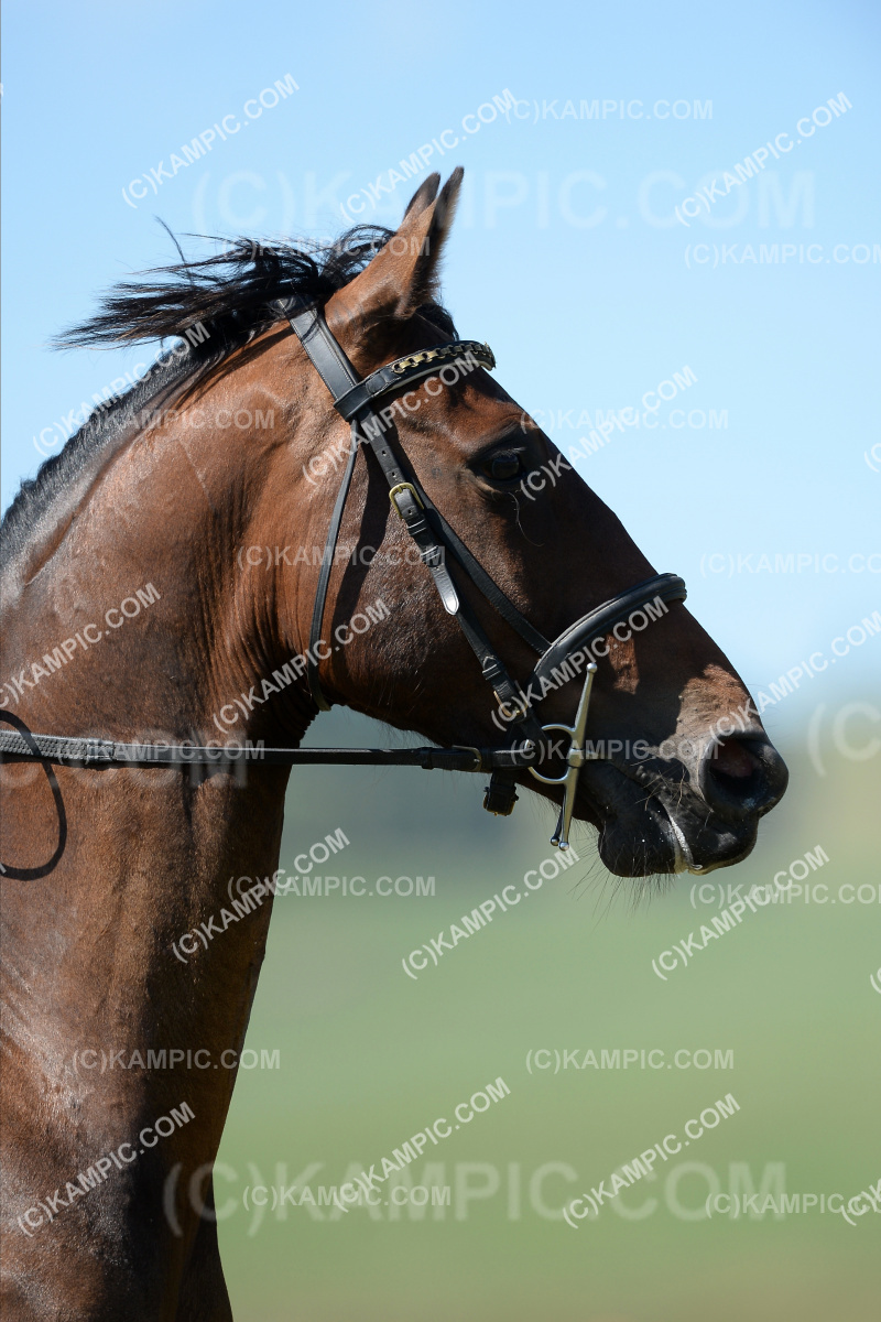 SL_201218_3473