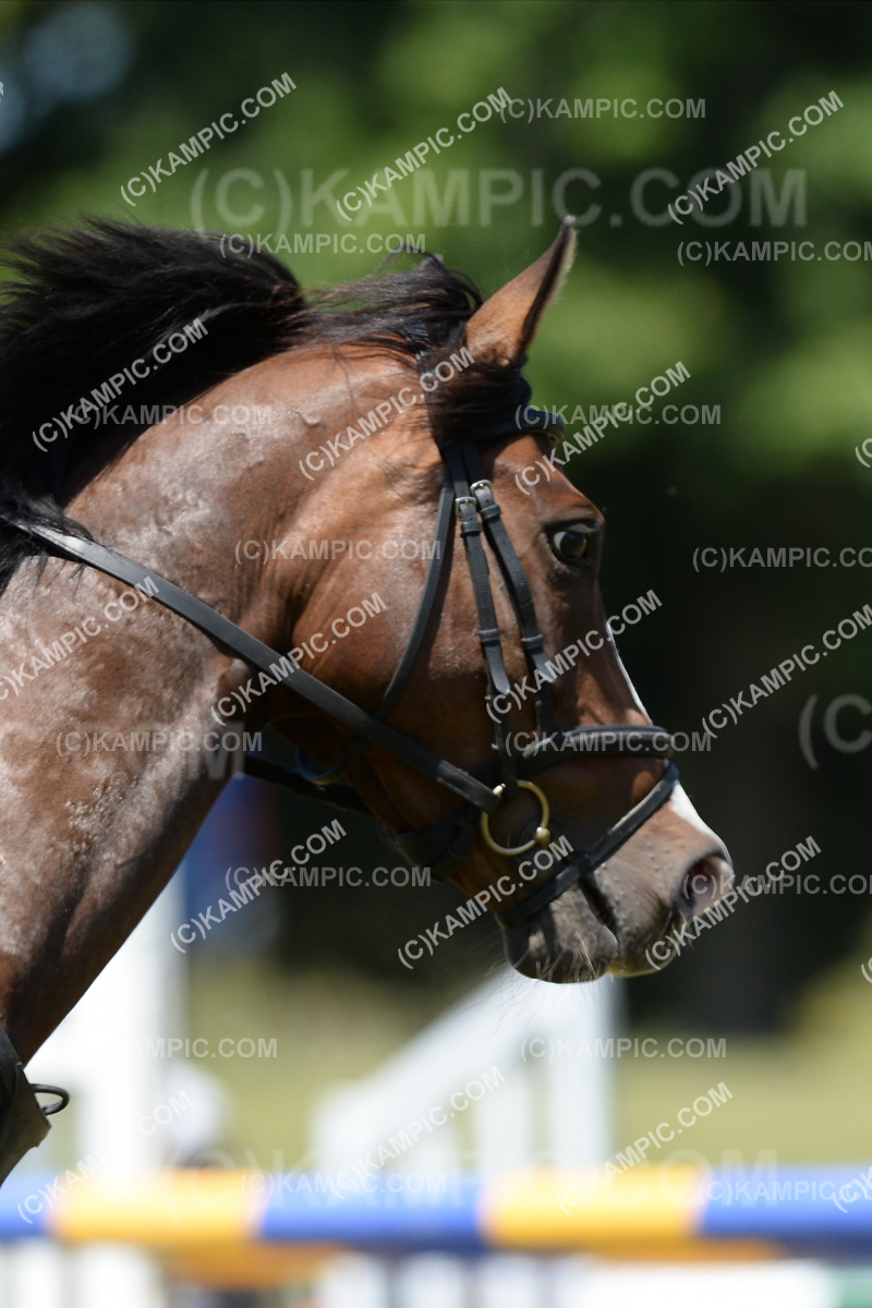 SL_201218_4010