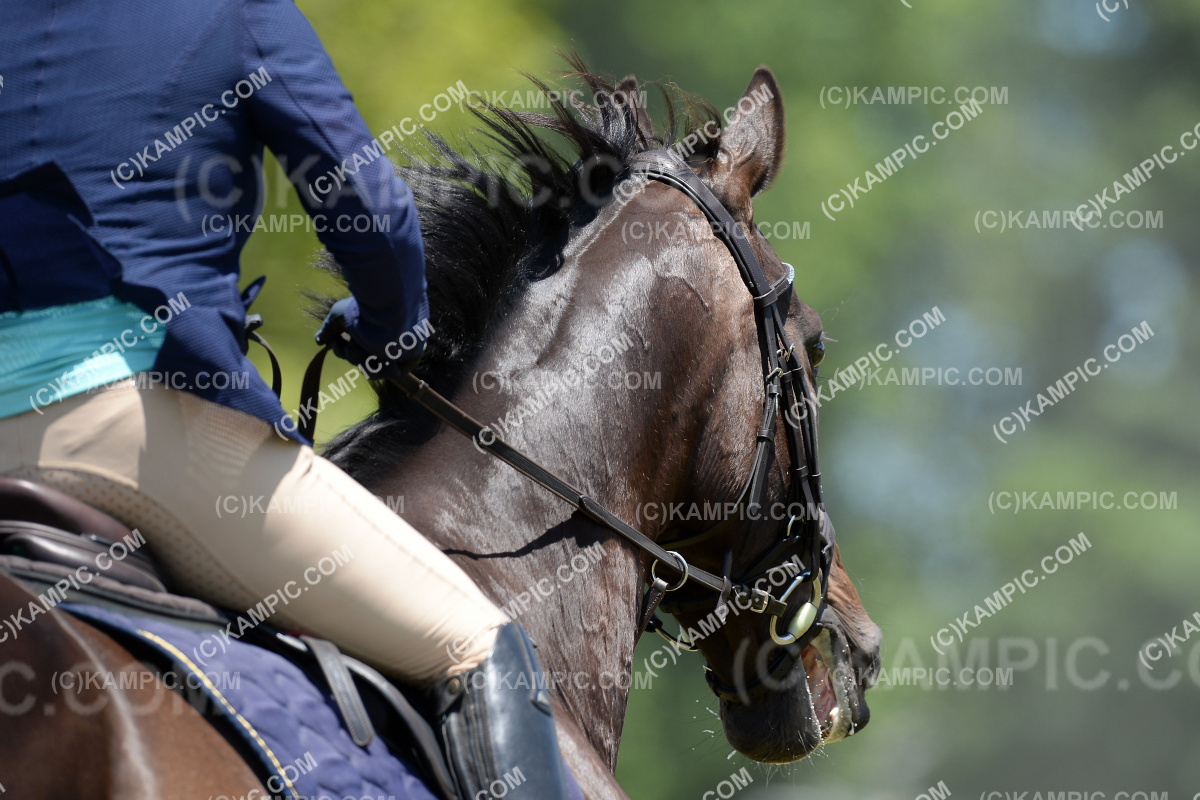 SL_201218_4638