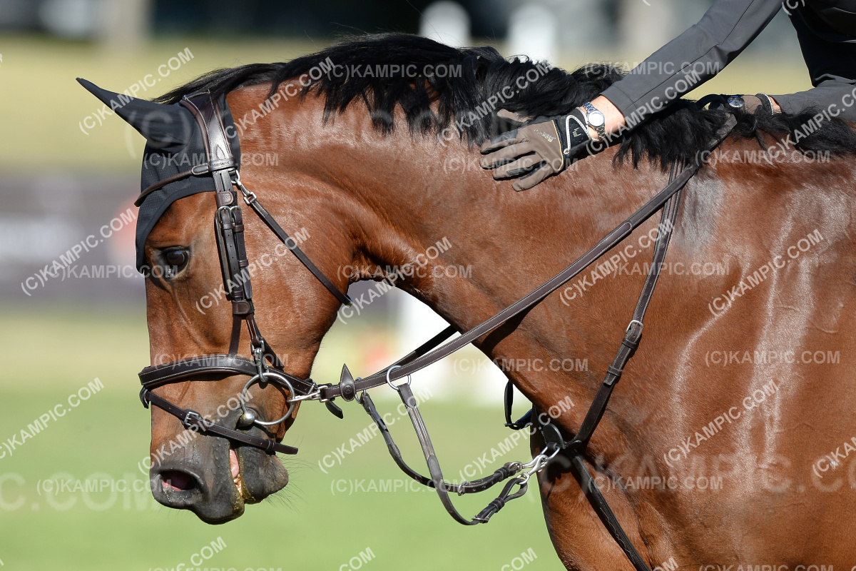 SL_201218_2715