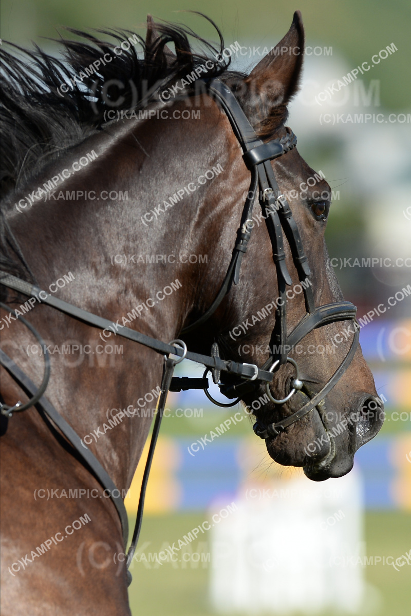 SL_201218_2725