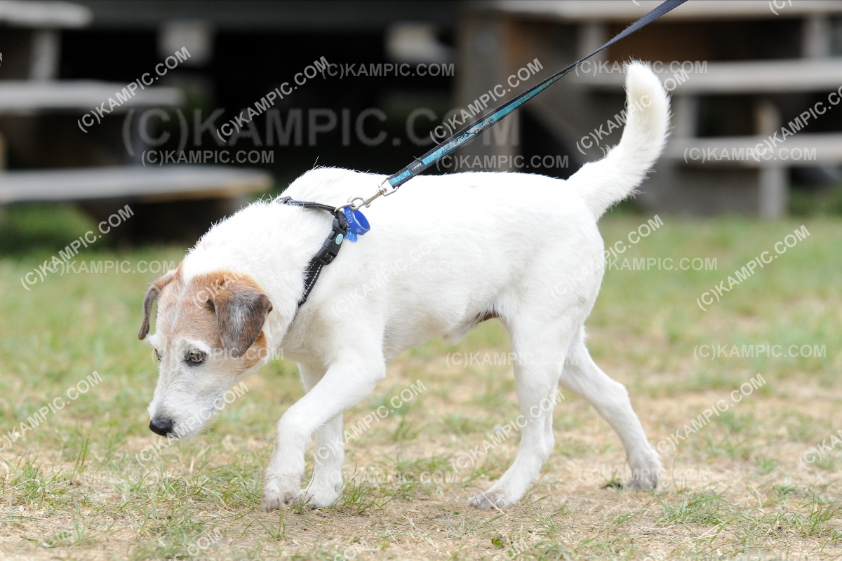 SL_201219_0601
