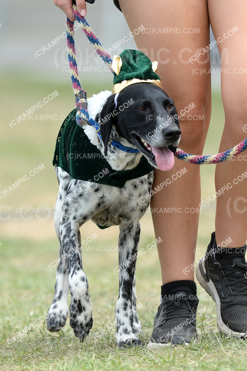 SL_201219_1090