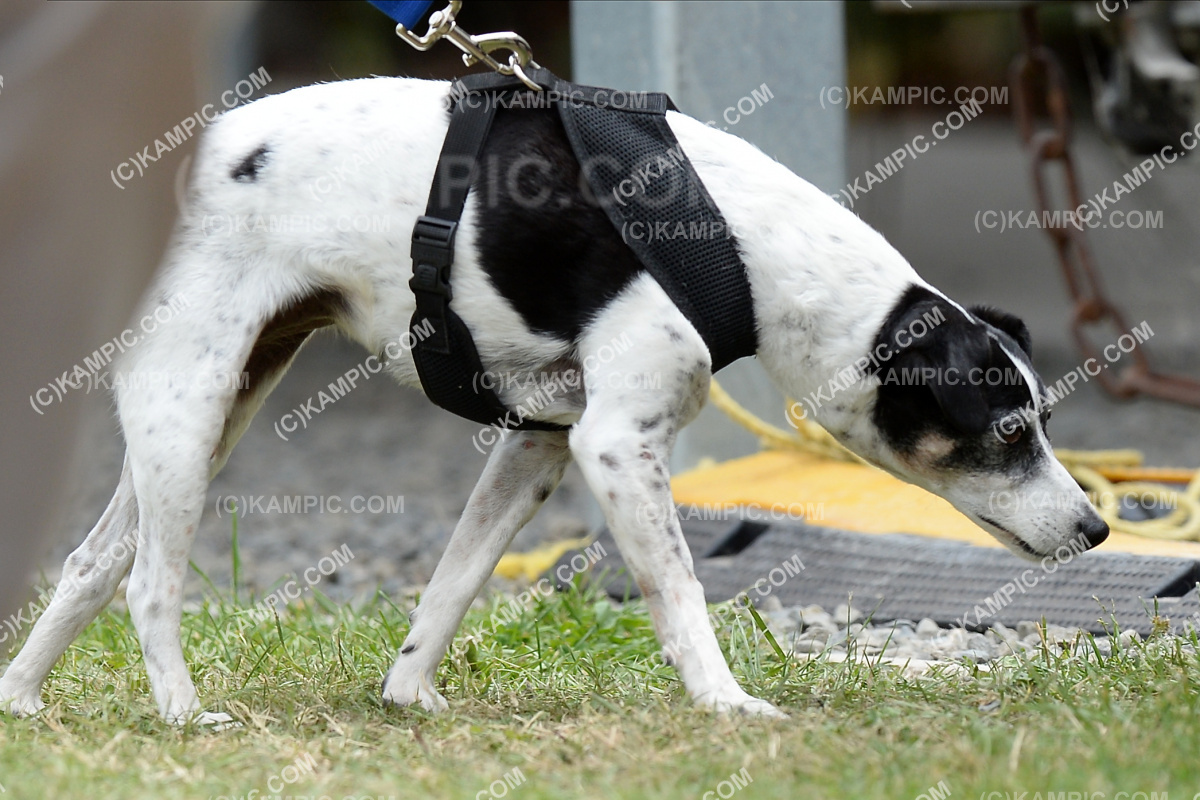SL_201219_1286