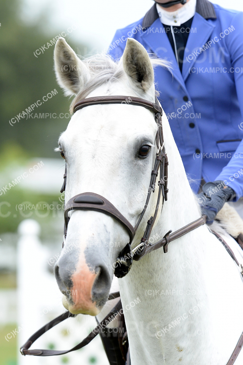 SL_201219_0040