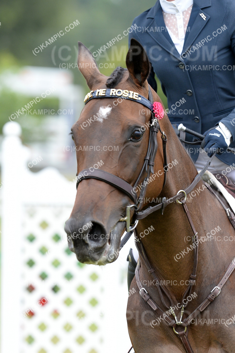 SL_201219_0065