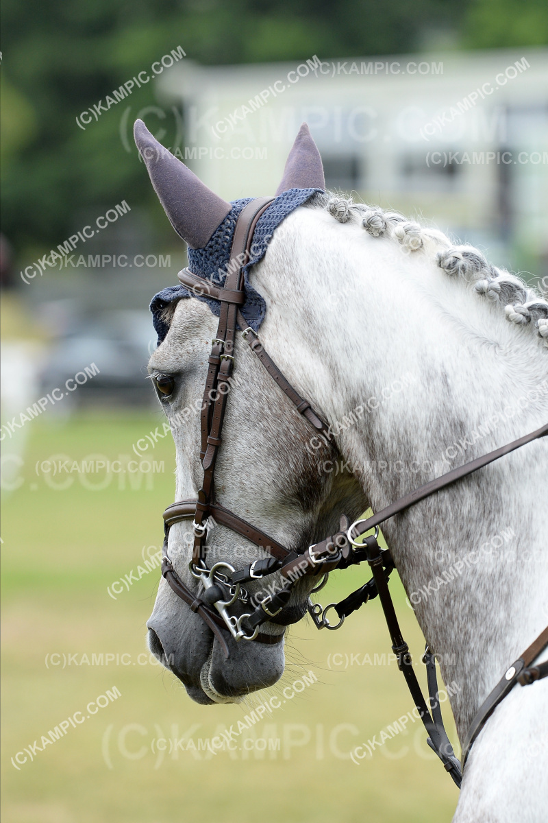 SL_201219_0267