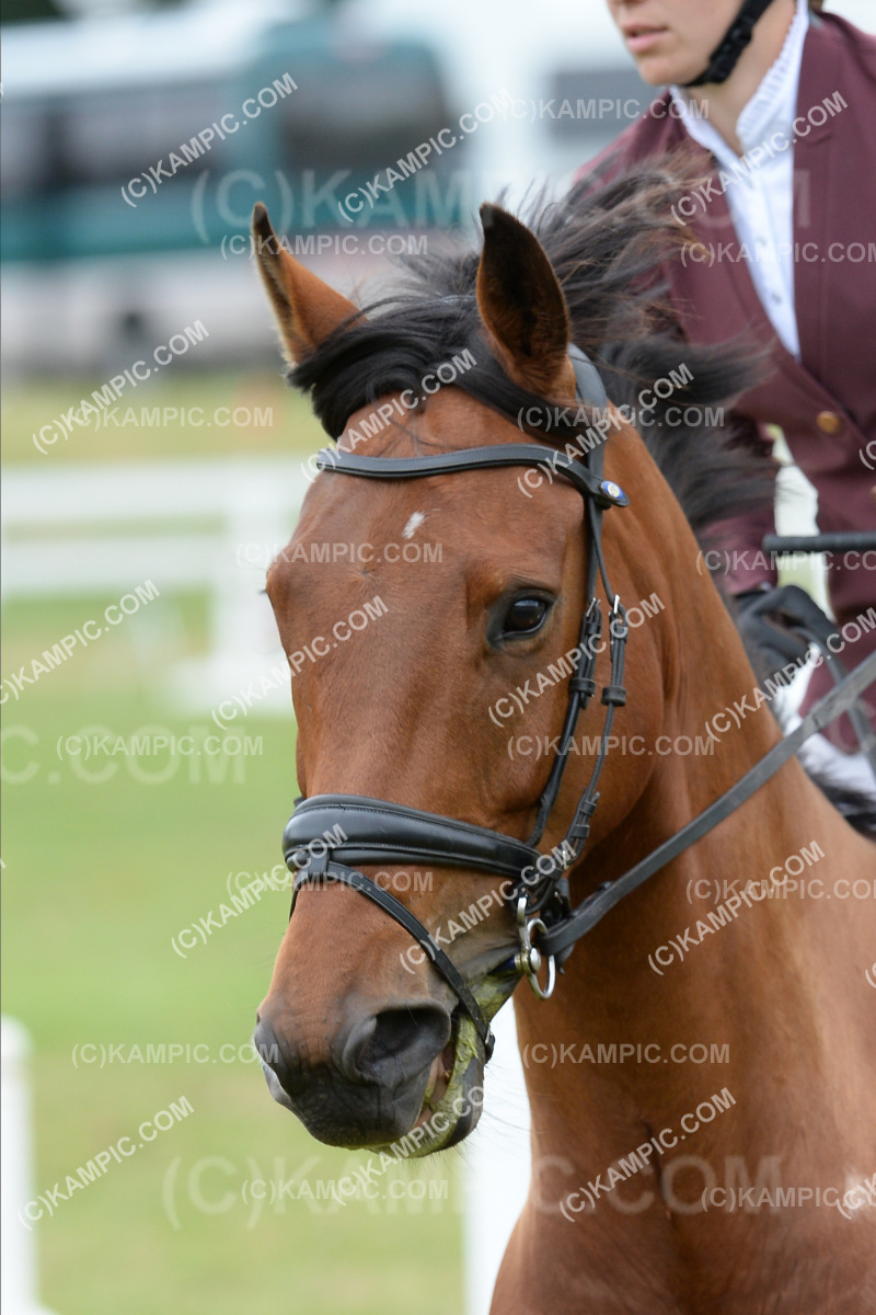 SL_201219_0336