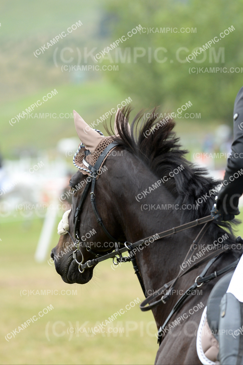 SL_201219_0465