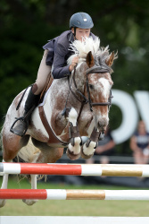 Pony 1.25m