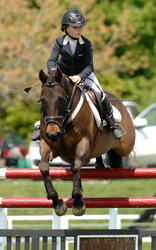 Pony Grand Prix