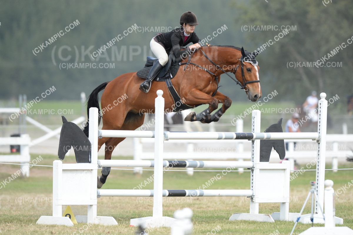SL_201219_2742