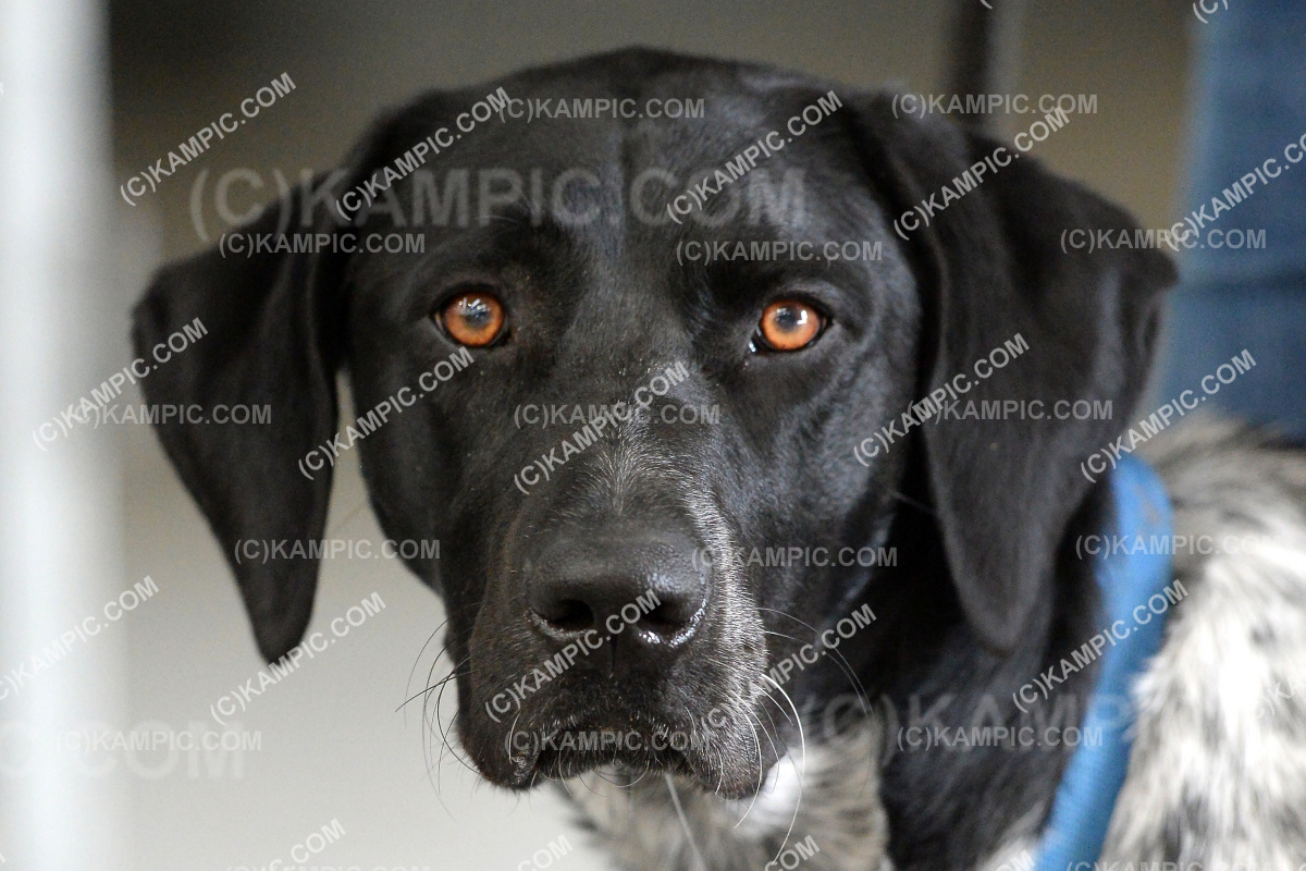 SL_201217_0809