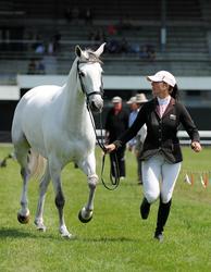 World Cup Trot Up