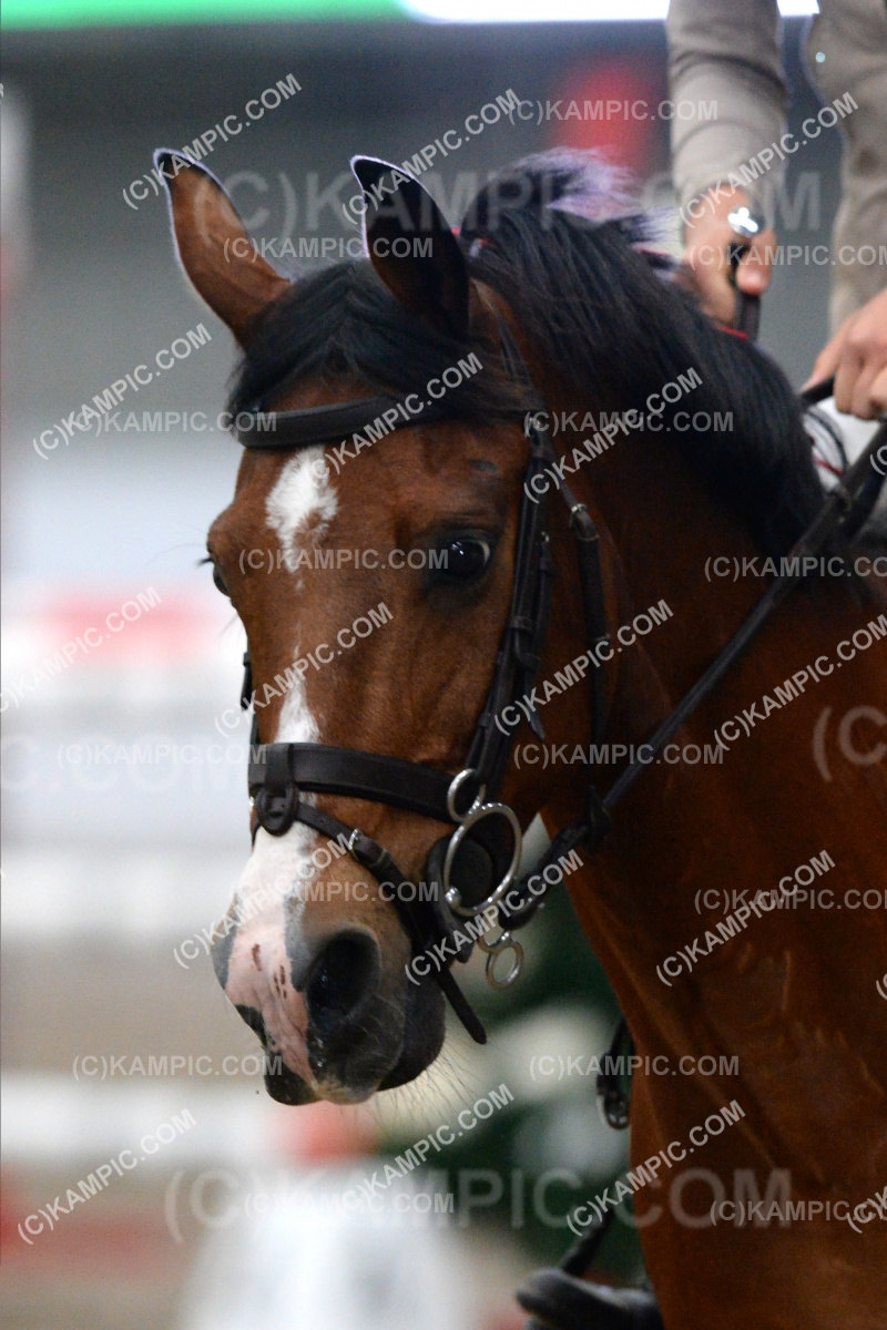 SL_201217_0030