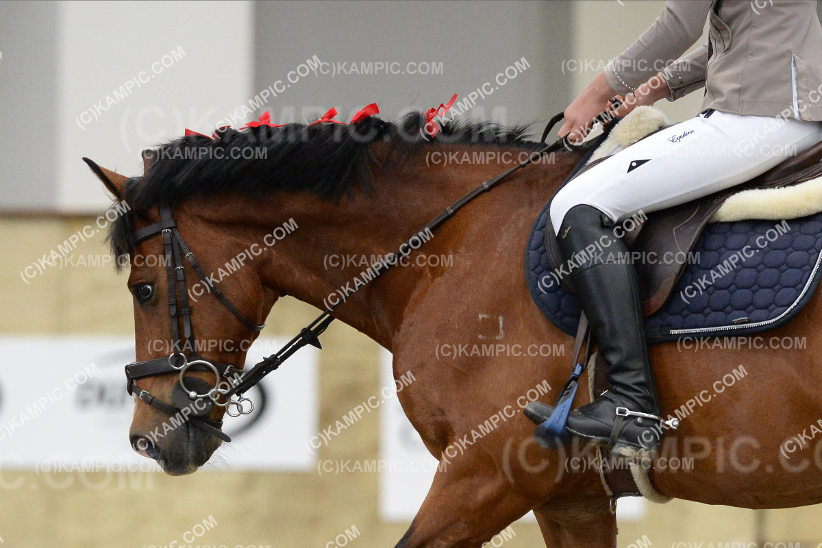 SL_201217_0044