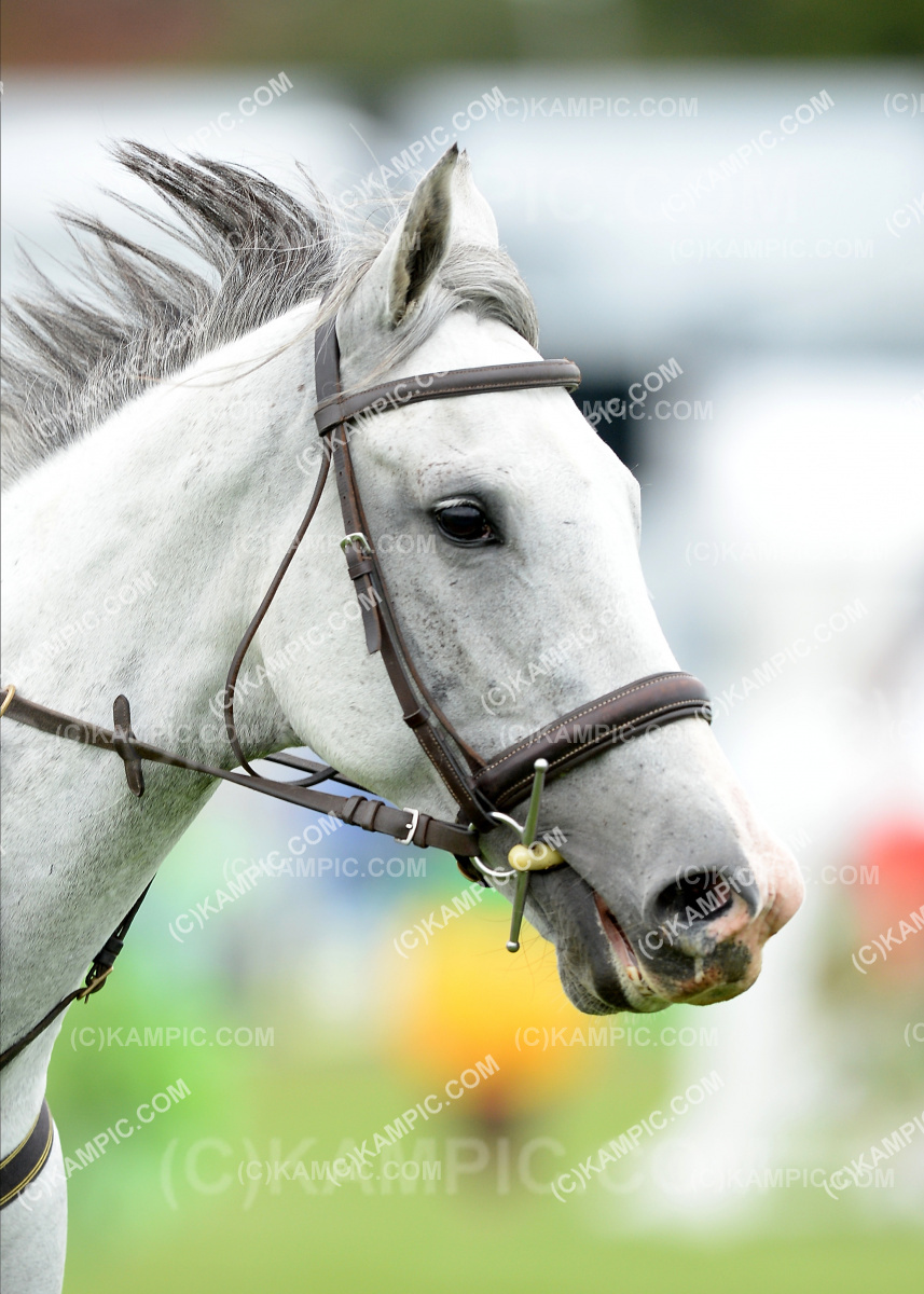 SL_200310_0678