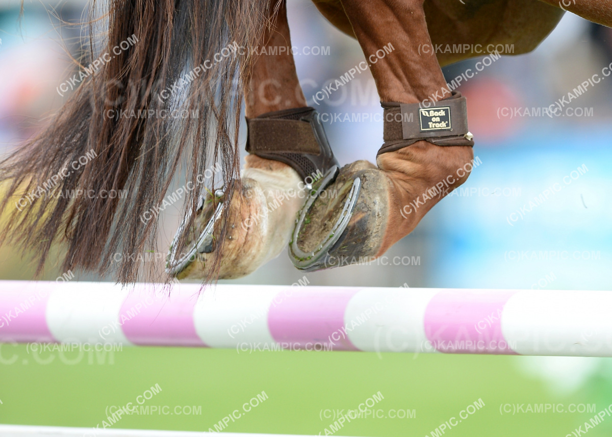 SL_200310_0779