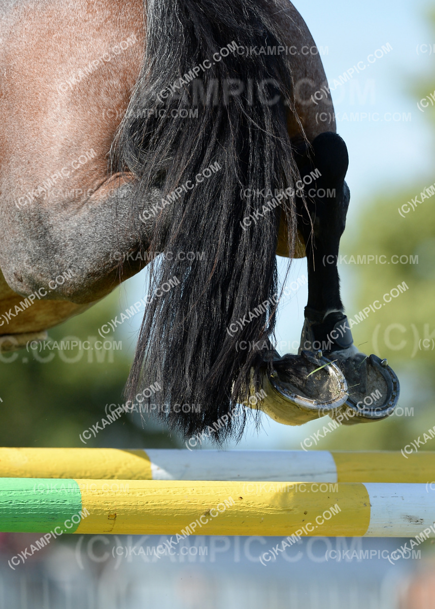 SL_200310_3053