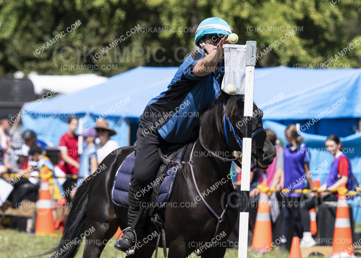 RH_200310_0214