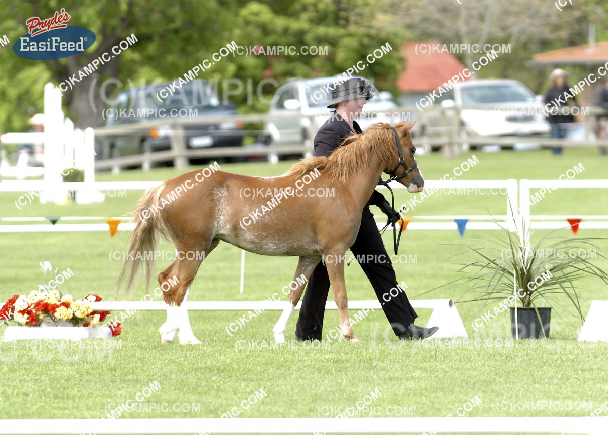 SL_111019_0057_001