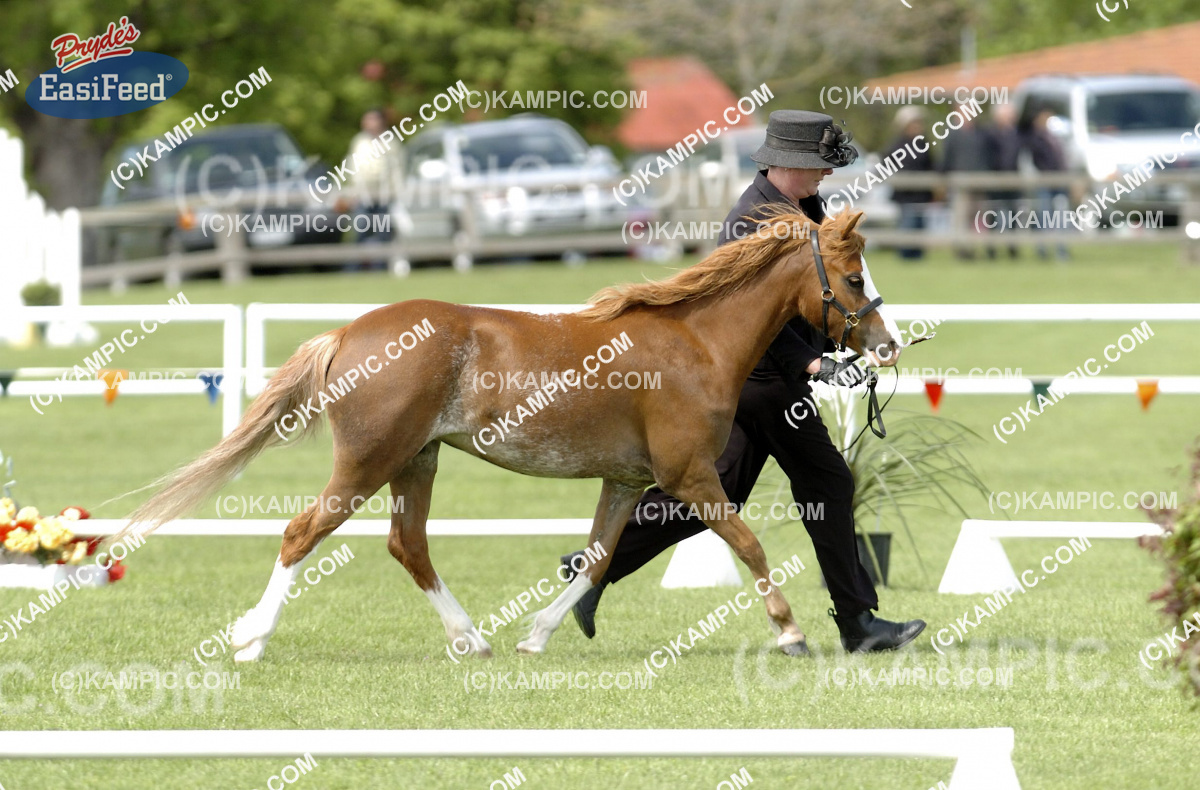 SL_111019_0065_001