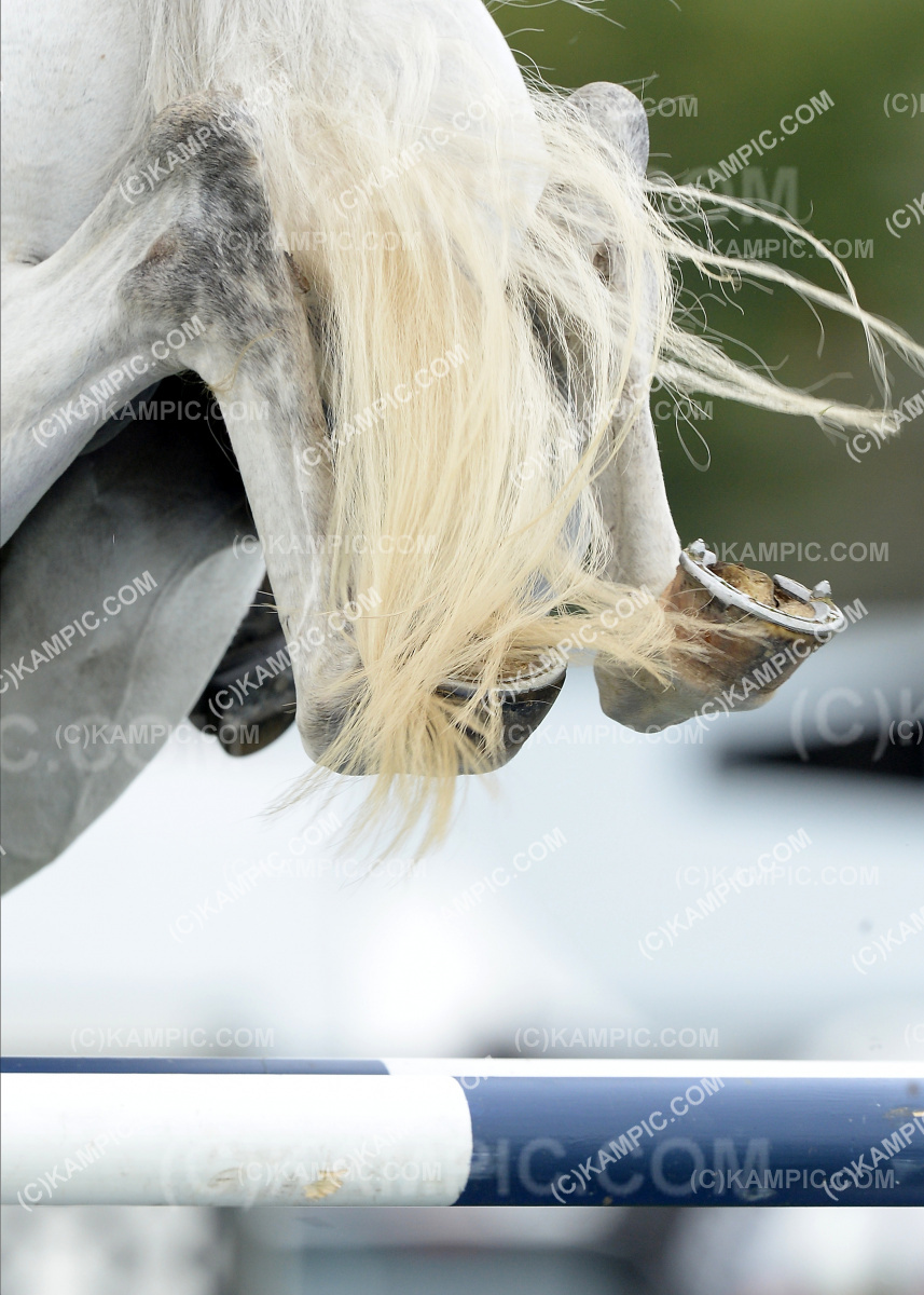 SL_200311_1121
