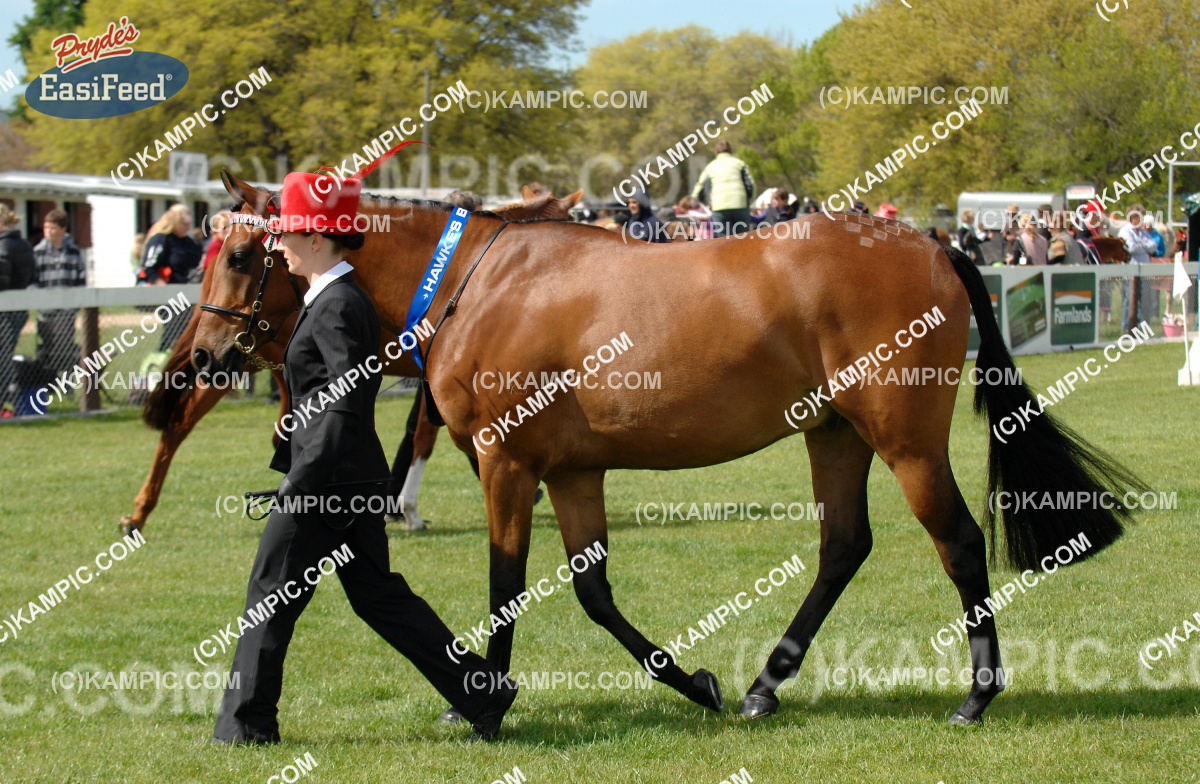 SL_111019_0468