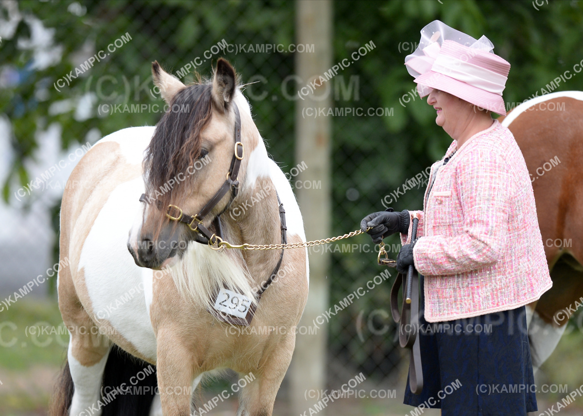 SL_200312_0074