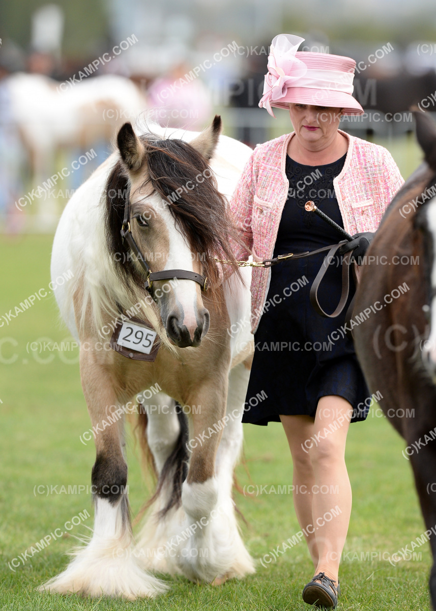 SL_200312_0232