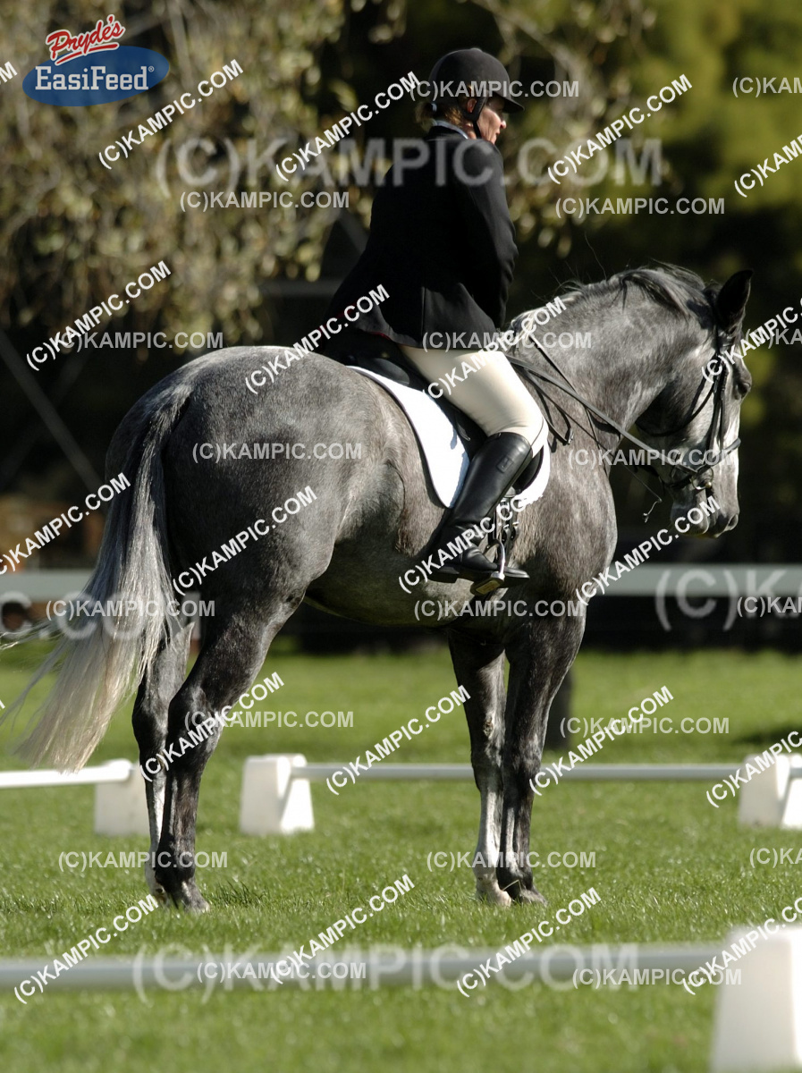 DR_110515_013