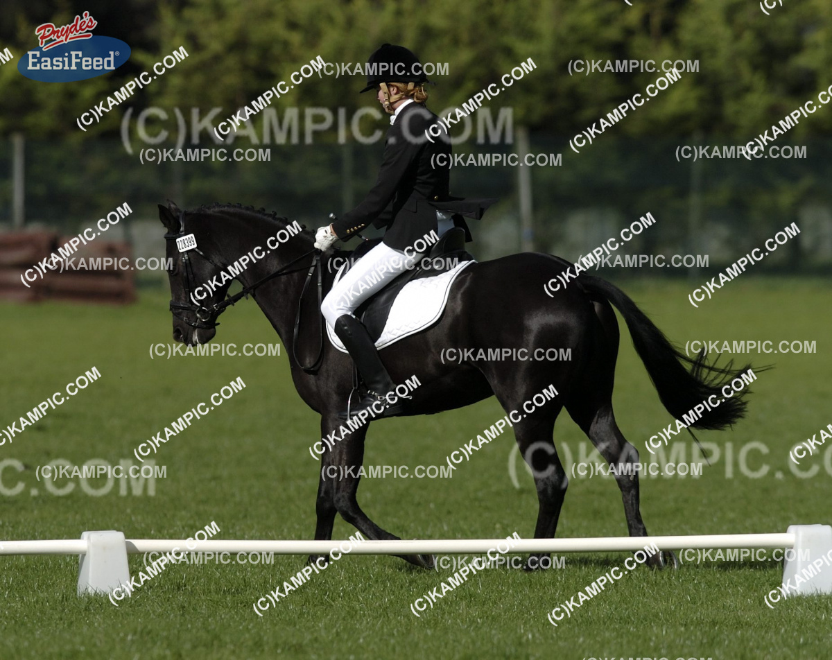 DR_110515_074