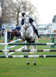 Showjumping