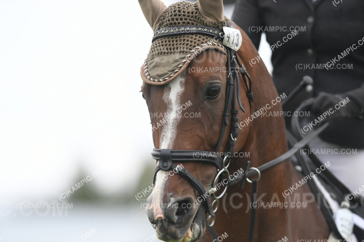 KM_200313_0788