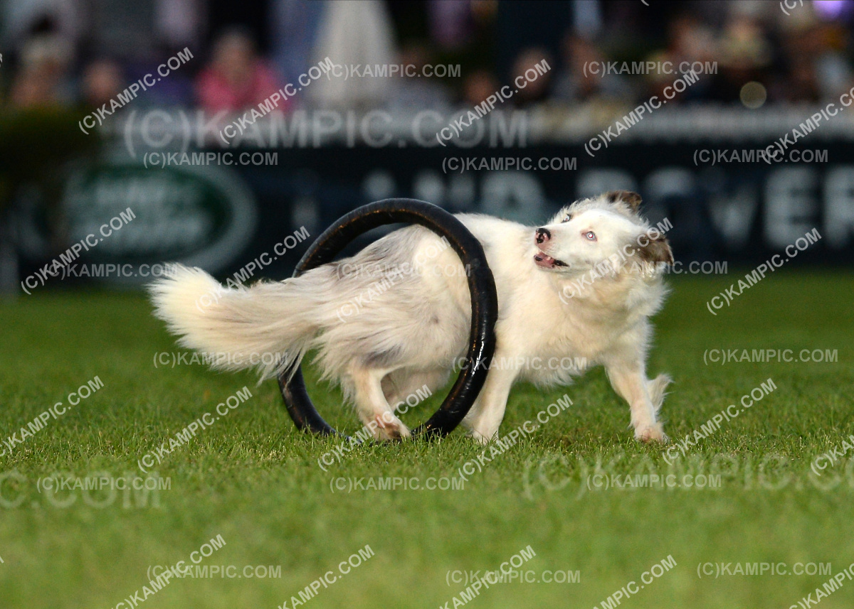 SL_200313_2565