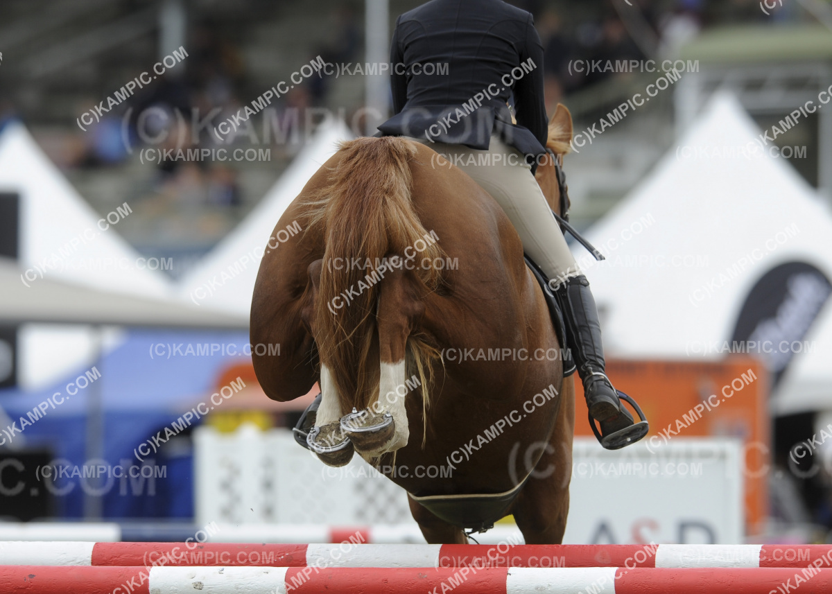 RH_200313_0346