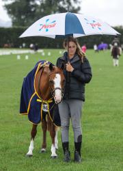 Part Welsh Lead Rein