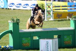 3 Star Eventing Showjumping