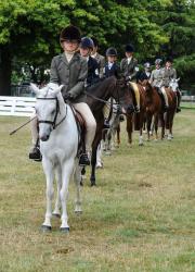 Working Hunter Pony of the Year