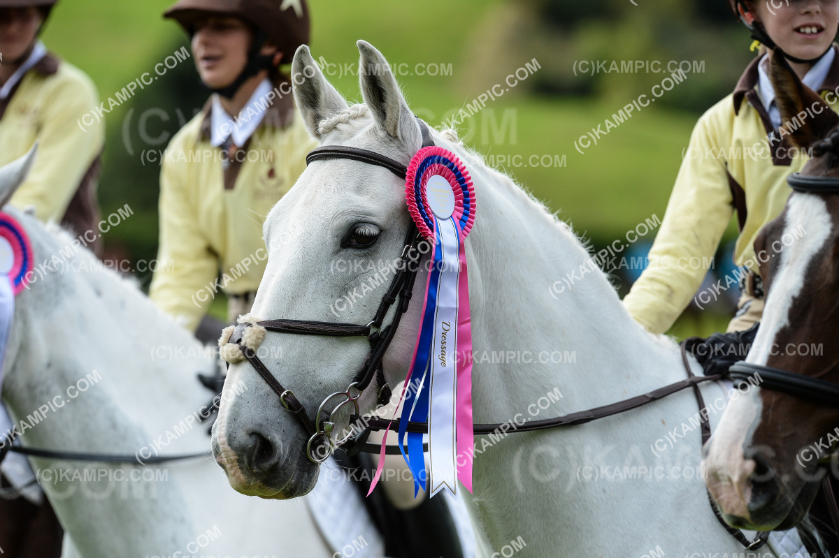 SL_210328_4138