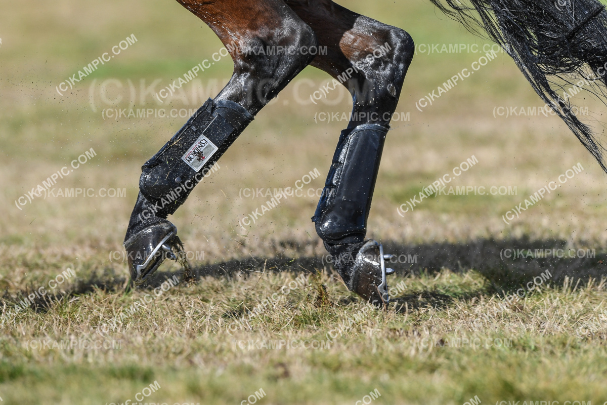 SL_210515_2730