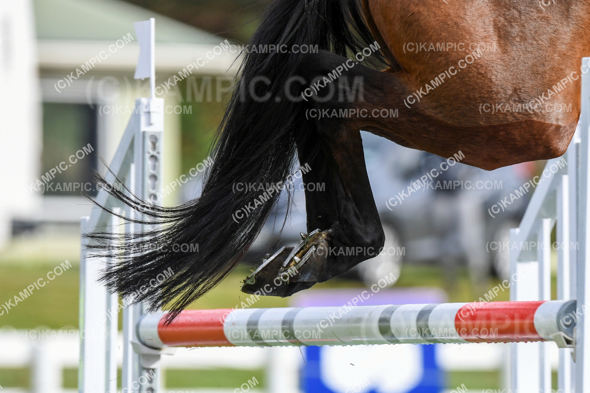 SL_210516_0268