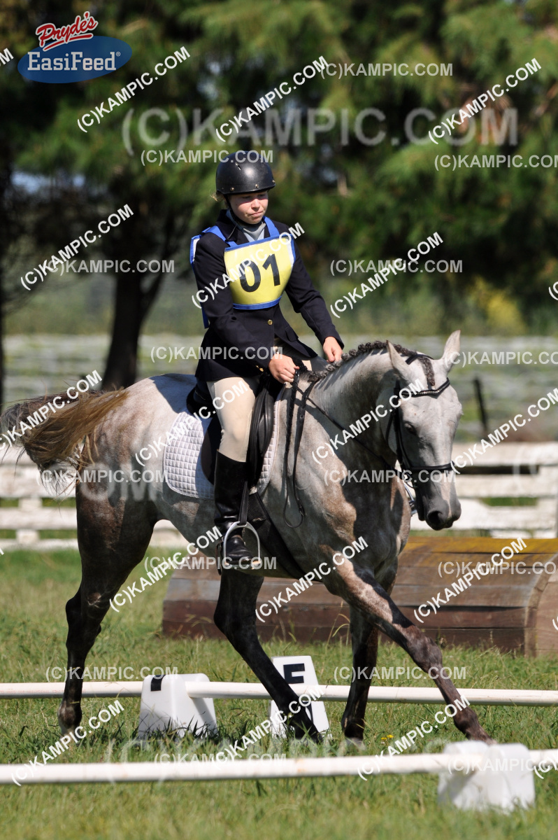 SL_20110213_273