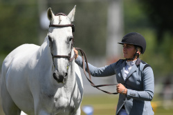 World Cup Trot Up