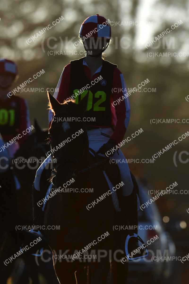 SL_220326_0041