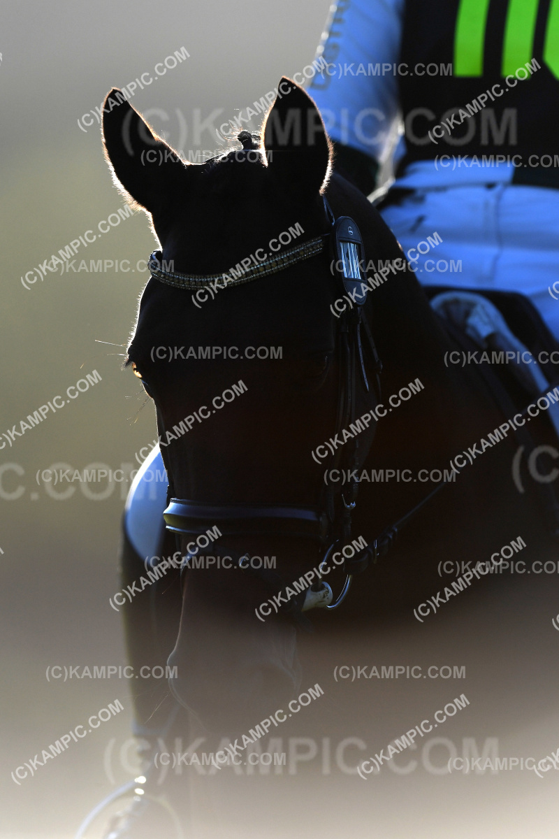 SL_220326_0585